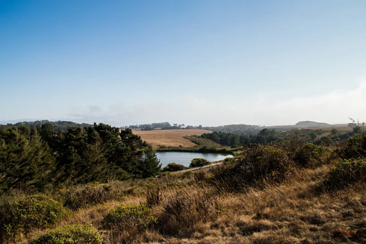 Guardian Grange Bolinas Monarch Butterfly Preserve